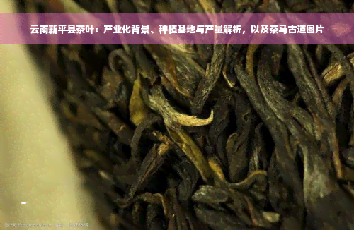 云南新平县茶叶：产业化背景、种植基地与产量解析，以及茶马古道图片