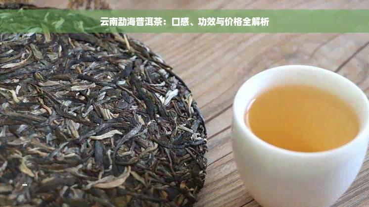 云南勐海普洱茶：口感、功效与价格全解析