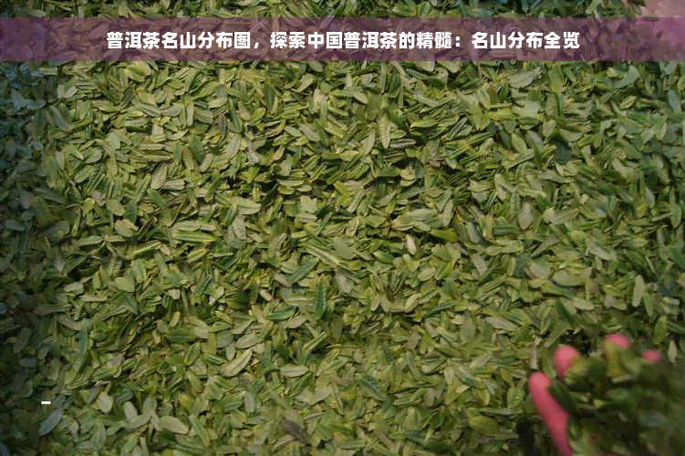 普洱茶名山分布图，探索中国普洱茶的精髓：名山分布全览