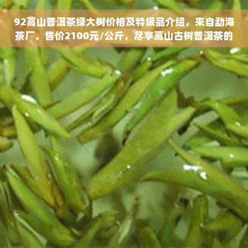 92高山普洱茶绿大树价格及特级品介绍，来自勐海茶厂，售价2100元/公斤，尽享高山古树普洱茶的醇厚口感