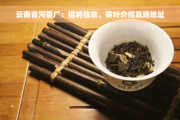 云南省河茶厂：招聘信息、茶叶介绍及场地址