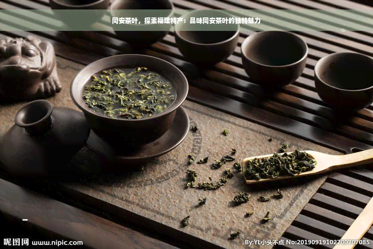 同安茶叶，探索福建特产：品味同安茶叶的独特魅力