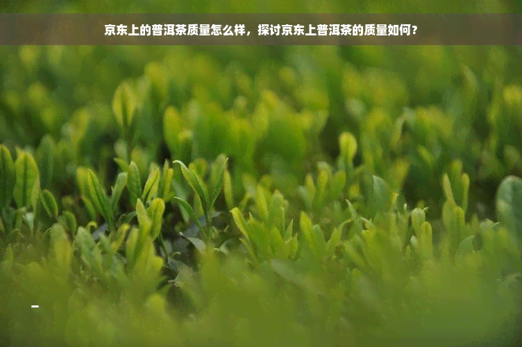京东上的普洱茶质量怎么样，探讨京东上普洱茶的质量如何？