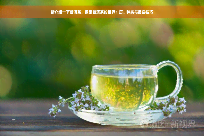 请介绍一下普洱茶，探索普洱茶的世界：历、种类与品尝技巧