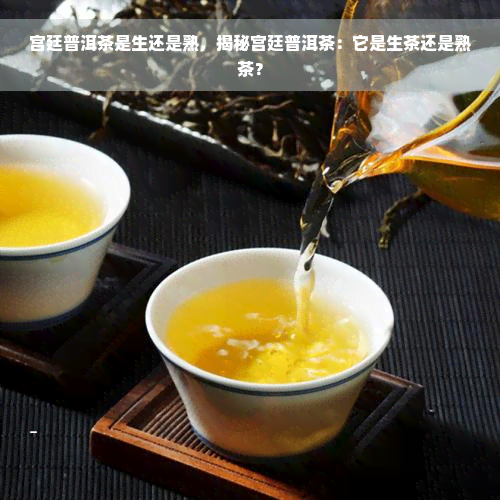 宫廷普洱茶是生还是熟，揭秘宫廷普洱茶：它是生茶还是熟茶？
