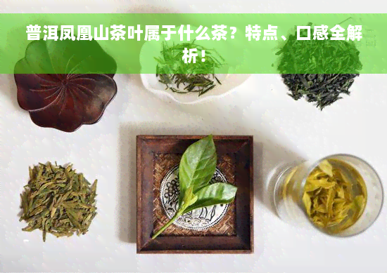 普洱凤凰山茶叶属于什么茶？特点、口感全解析！