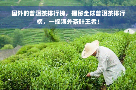 国外的普洱茶排行榜，揭秘全球普洱茶排行榜，一探海外茶叶王者！