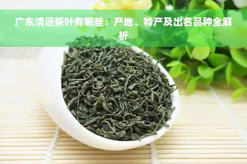 广东清远茶叶有哪些：产地、特产及出名品种全解析