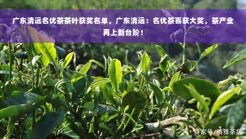 广东清远名优茶茶叶获奖名单，广东清远：名优茶喜获大奖，茶产业再上新台阶！