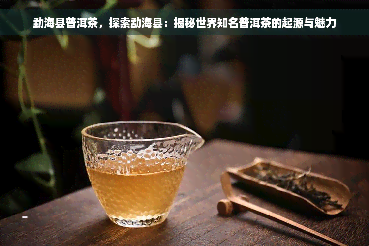 勐海县普洱茶，探索勐海县：揭秘世界知名普洱茶的起源与魅力