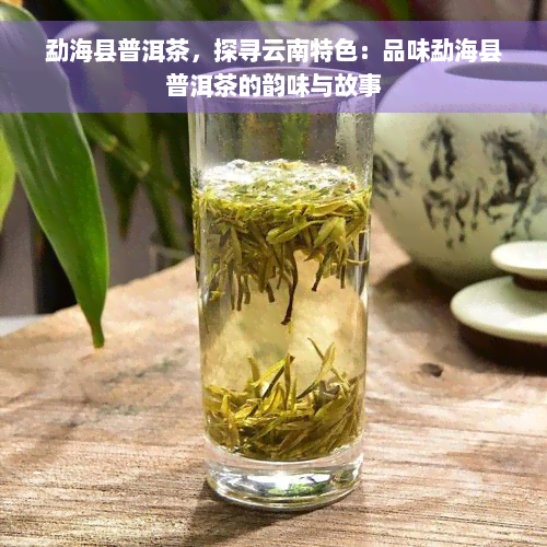 勐海县普洱茶，探寻云南特色：品味勐海县普洱茶的韵味与故事