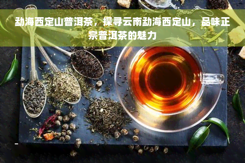 勐海西定山普洱茶，探寻云南勐海西定山，品味正宗普洱茶的魅力