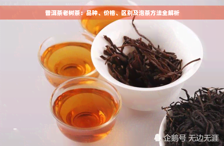 普洱茶老树茶：品种、价格、区别及泡茶方法全解析