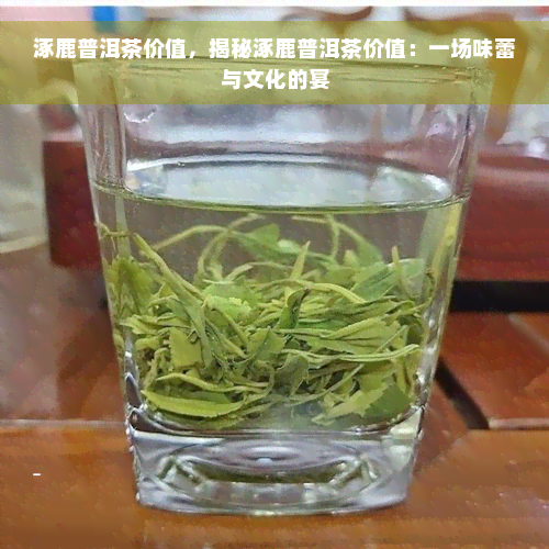 涿鹿普洱茶价值，揭秘涿鹿普洱茶价值：一场味蕾与文化的宴