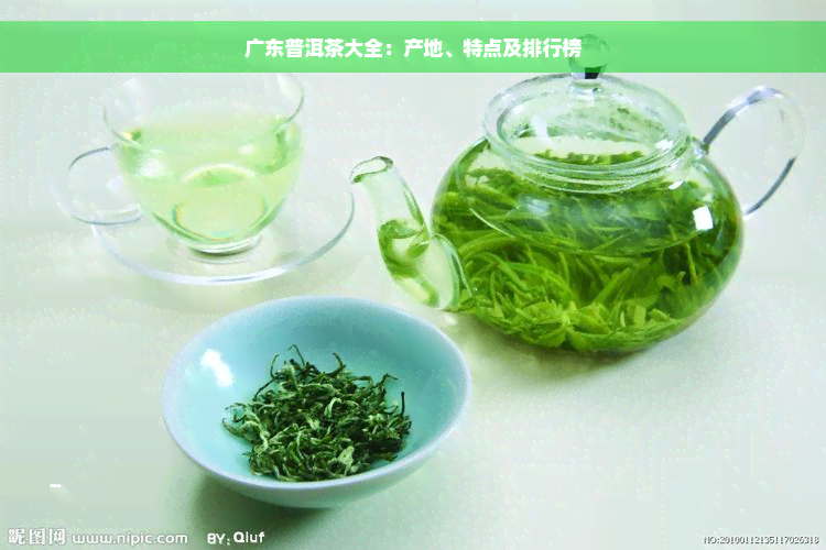 广东普洱茶大全：产地、特点及排行榜
