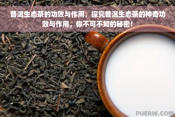普洱生态茶的功效与作用，探究普洱生态茶的神奇功效与作用，你不可不知的秘密！