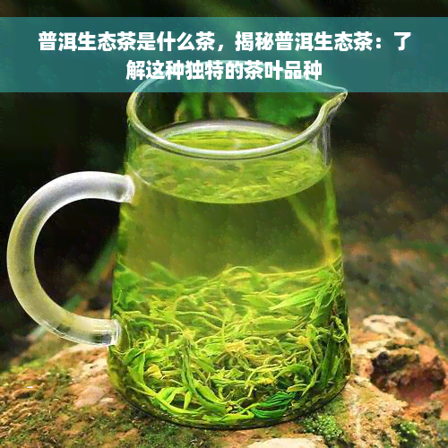 普洱生态茶是什么茶，揭秘普洱生态茶：了解这种独特的茶叶品种
