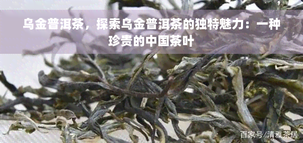 乌金普洱茶，探索乌金普洱茶的独特魅力：一种珍贵的中国茶叶