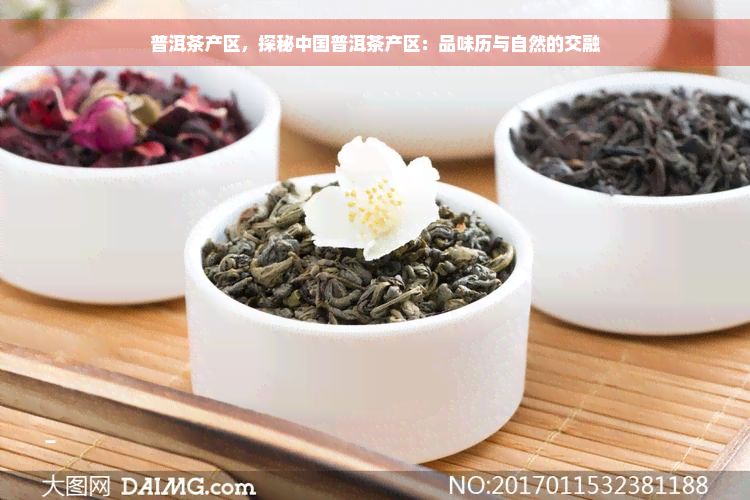 普洱茶产区，探秘中国普洱茶产区：品味历与自然的交融