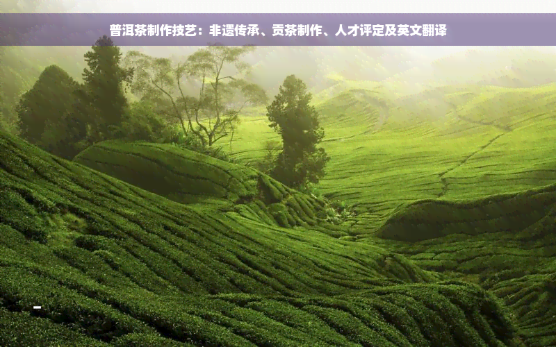 普洱茶制作技艺：非遗传承、贡茶制作、人才评定及英文翻译