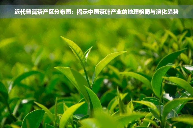 近代普洱茶产区分布图：揭示中国茶叶产业的地理格局与演化趋势