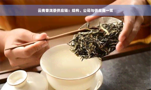 云南普洱茶供应链：结构、公司与供应商一览