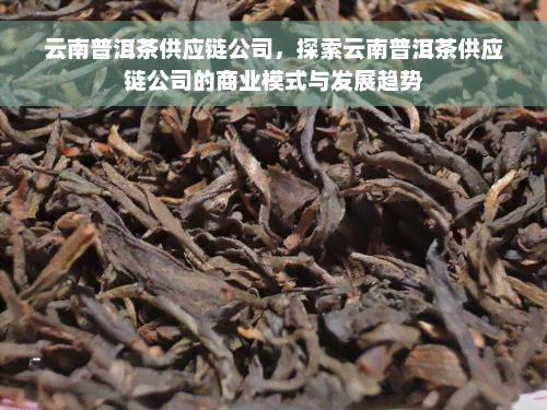 云南普洱茶供应链公司，探索云南普洱茶供应链公司的商业模式与发展趋势