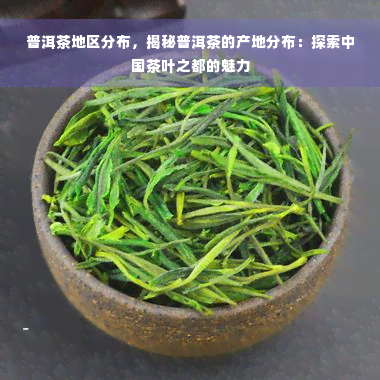 普洱茶地区分布，揭秘普洱茶的产地分布：探索中国茶叶之都的魅力