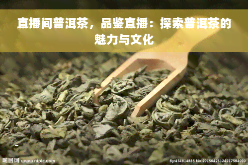 直播间普洱茶，品鉴直播：探索普洱茶的魅力与文化