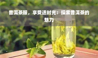 普洱茶服，享受适时光：探索普洱茶的魅力