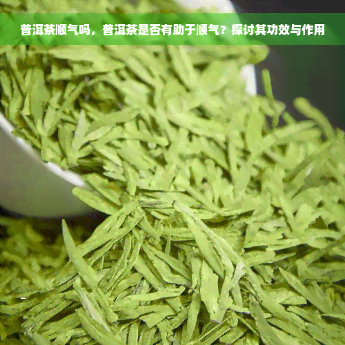 普洱茶顺气吗，普洱茶是否有助于顺气？探讨其功效与作用