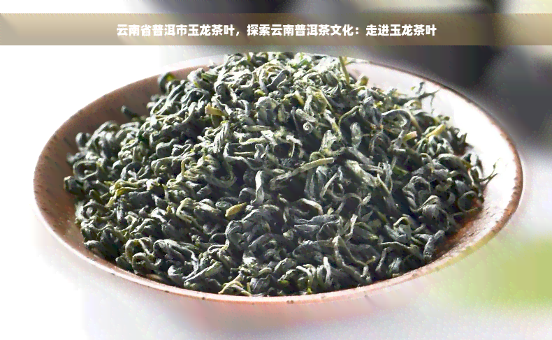 云南省普洱市玉龙茶叶，探索云南普洱茶文化：走进玉龙茶叶