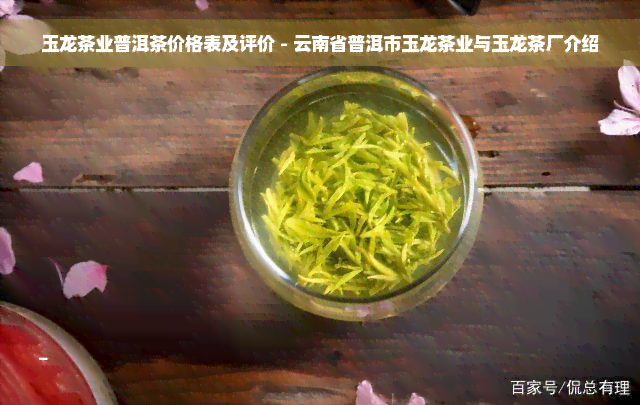 玉龙茶业普洱茶价格表及评价 - 云南省普洱市玉龙茶业与玉龙茶厂介绍