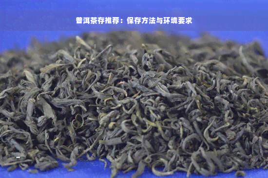 普洱茶存推荐：保存方法与环境要求