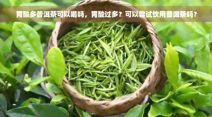 胃酸多普洱茶可以喝吗，胃酸过多？可以尝试饮用普洱茶吗？