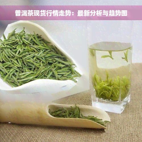 普洱茶现货行情走势：最新分析与趋势图