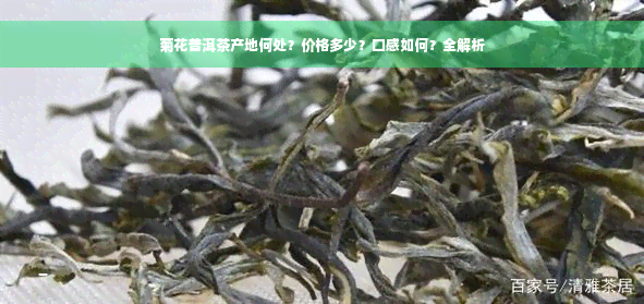 菊花普洱茶产地何处？价格多少？口感如何？全解析