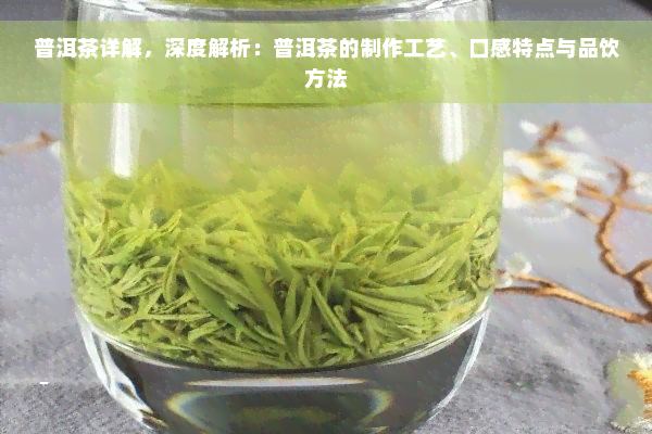 普洱茶详解，深度解析：普洱茶的制作工艺、口感特点与品饮方法