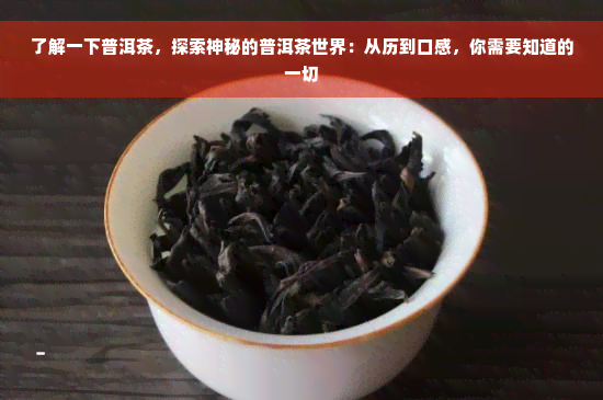 了解一下普洱茶，探索神秘的普洱茶世界：从历到口感，你需要知道的一切