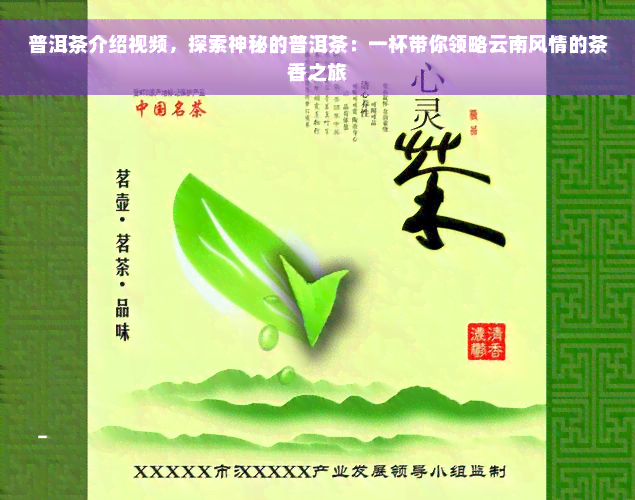 普洱茶介绍视频，探索神秘的普洱茶：一杯带你领略云南风情的茶香之旅