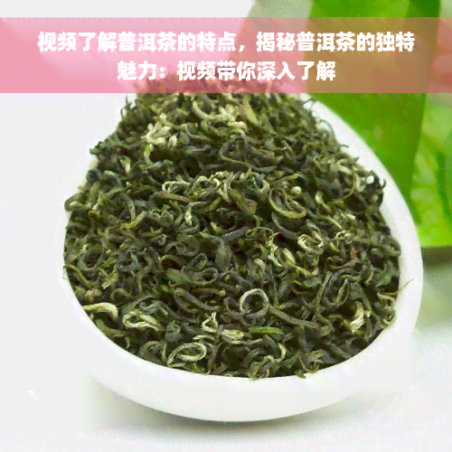 视频了解普洱茶的特点，揭秘普洱茶的独特魅力：视频带你深入了解