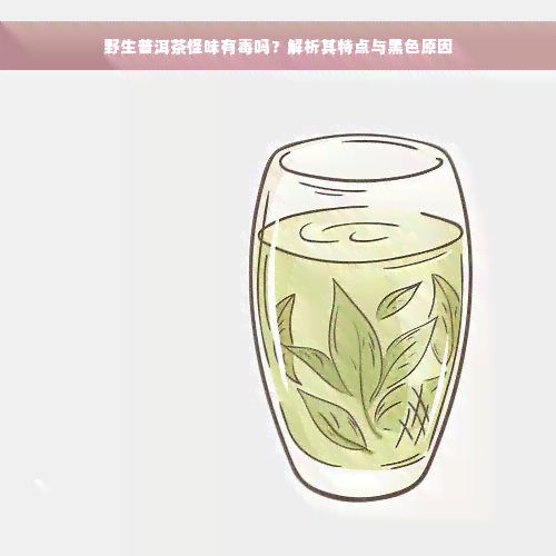 野生普洱茶怪味有毒吗？解析其特点与黑色原因