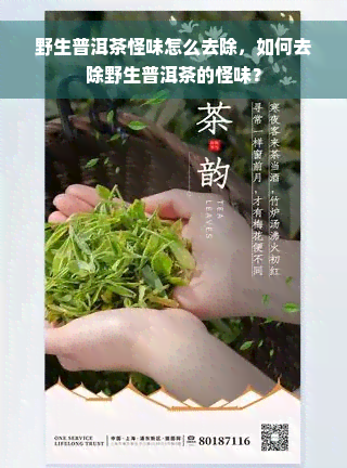 野生普洱茶怪味怎么去除，如何去除野生普洱茶的怪味？