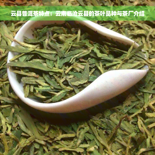 云县普洱茶特点：云南临沧云县的茶叶品种与茶厂介绍