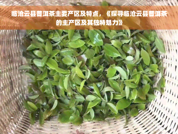 临沧云县普洱茶主要产区及特点，《探寻临沧云县普洱茶的主产区及其独特魅力》