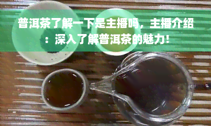 普洱茶了解一下是主播吗，主播介绍：深入了解普洱茶的魅力！