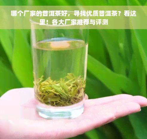 哪个厂家的普洱茶好，寻找优质普洱茶？看这里！各大厂家推荐与评测