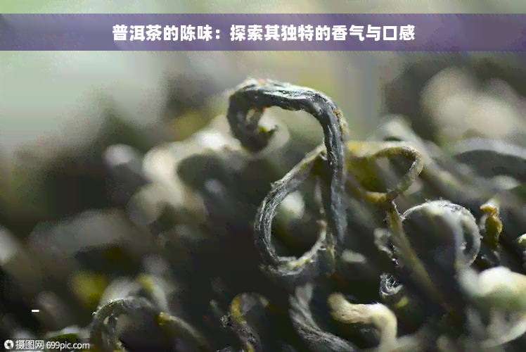 普洱茶的陈味：探索其独特的香气与口感