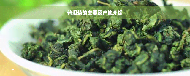 普洱茶的主要及产地介绍