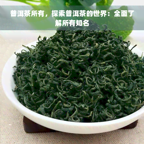 普洱茶所有，探索普洱茶的世界：全面了解所有知名